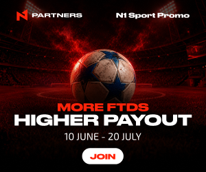 N1partners-300x250